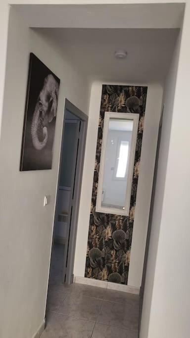 Appartement Chaleureux, Proche De La Gare Perpignan Exterior foto